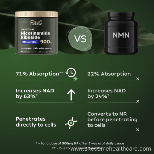 NMN capsules with Nicotinamide Energy Focus NMN Supplement